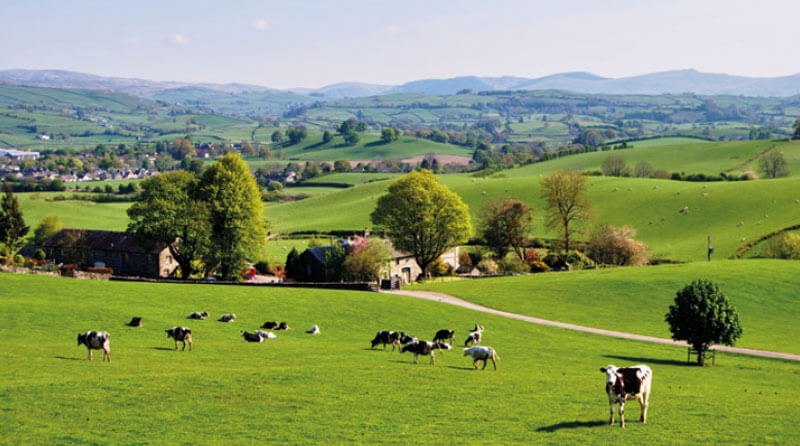 BMP® Vantaggi Ambiente