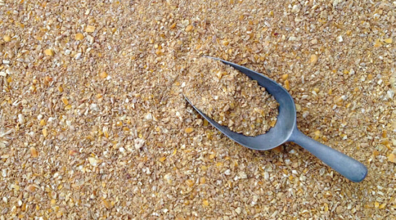 BMP® Vantaggi Mangime