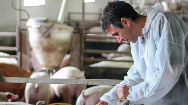 BMP® Vantaggi Nutrizionista